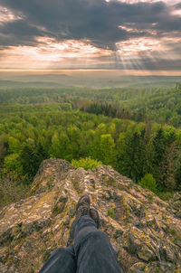 Low section of man against forest