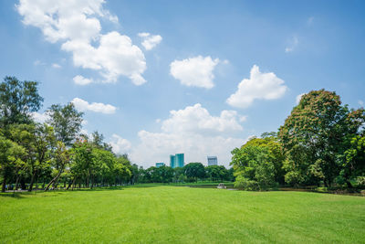 Trees on field against sky