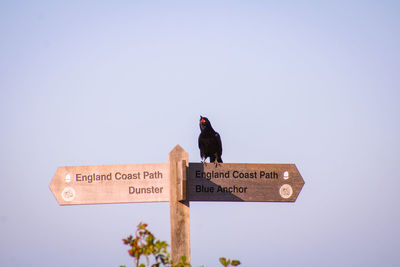 Low angle view of bird perching on a sign