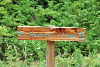 Close-up of sign board on tree