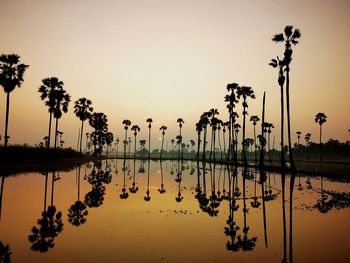 Silhouette palm trees by lake against sky during sunset