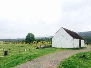 Trees on grassy field