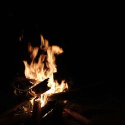 Close-up of bonfire at night
