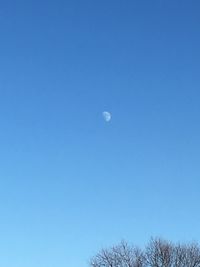 Low angle view of moon in clear blue sky