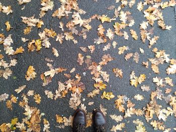 Low section of person standing on dry leaves