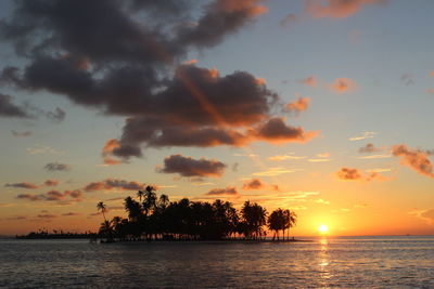 Dreamlike island with palm trees at sunset