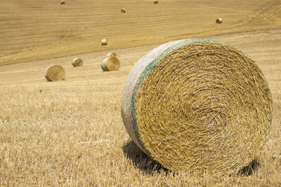 Hay bales on field