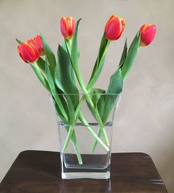 Tulips in vase on table against wall at home