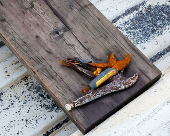 High angle view of snake on wooden table