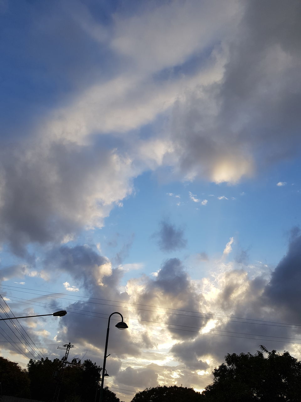 LOW ANGLE VIEW OF TREES AGAINST SKY