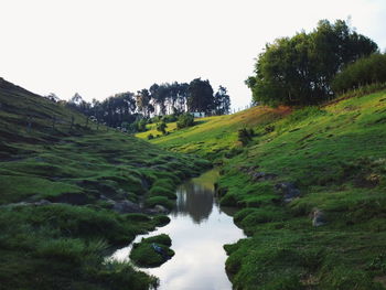 Scenic view of landscape against clear sky