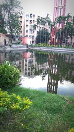 Scenic view of park by river in city against sky