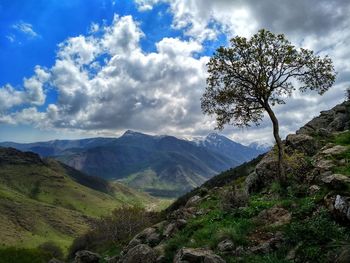 Scenic view of landscape against sky