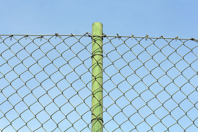 Low angle view of chainlink fence against clear blue sky