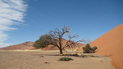 Scenic view of desert against blue sky