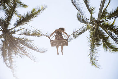 From below full length faceless barefoot female in sundress swaying on swings between verdant palms under blue sky in sunny tropical country