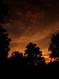 Low angle view of silhouette trees against sky during sunset