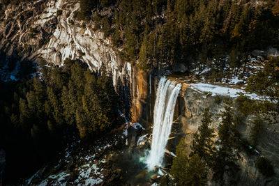 Scenic view of waterfall in forest