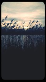 Scenic view of field against sky at sunset