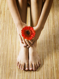 Low section of woman with red gerbera daisy sitting on floorboard