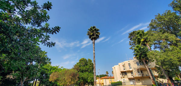 Low angle view of trees and buildings against blue sky