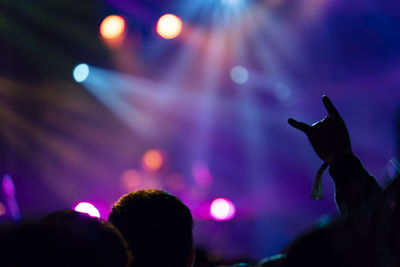 Crowd at music concert