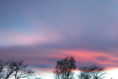 Low angle view of silhouette trees against sky