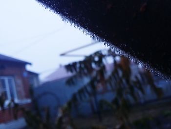 Close-up of wet rain against sky