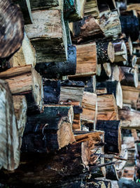 Full frame shot of logs in forest