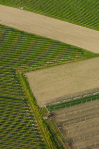 Aerial view of field boundaries