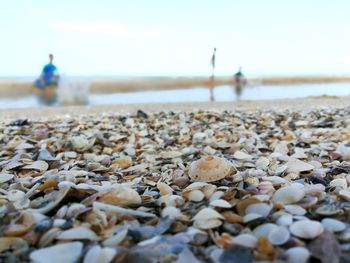 Surface level of pebbles on beach against sky