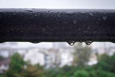 Close-up of water drops on metal railing