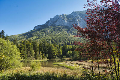 Scenic view of lake against clear sky