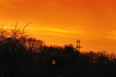 Silhouette trees and plants against orange sky