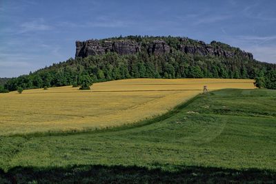 Scenic view of grassy field against sky