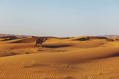 Scenic view of desert against clear sky