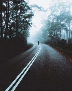 Country road along trees