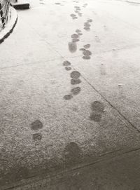 High angle view of footprints on snow