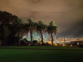 Palm trees in city against sky at night