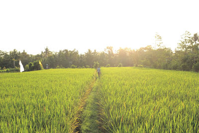 Scenic view of field against cloudy sky