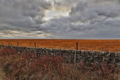 Scenic view of field against cloudy sky