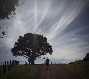 Trees on landscape against cloudy sky