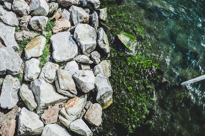 Leaf on rock by water