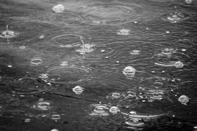 High angle view of raindrops on water surface