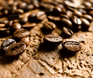 Close-up of coffee beans