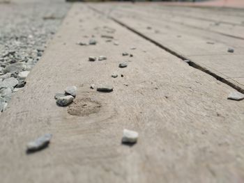 High angle view of wood on sand