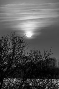 Low angle view of silhouette bare tree against sky