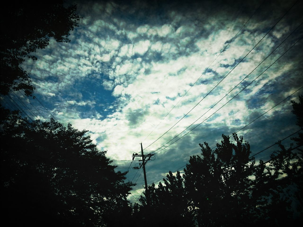 low angle view, silhouette, tree, sky, cloud - sky, power line, cloudy, electricity, nature, tranquility, electricity pylon, dusk, beauty in nature, cloud, fuel and power generation, growth, power supply, tranquil scene, scenics, outdoors