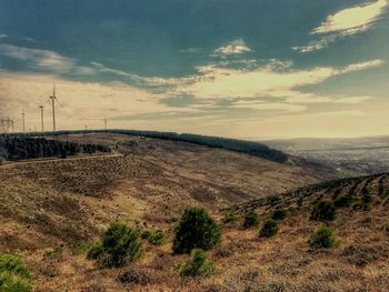 Scenic view of landscape against sky