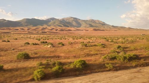 Scenic view of landscape against sky